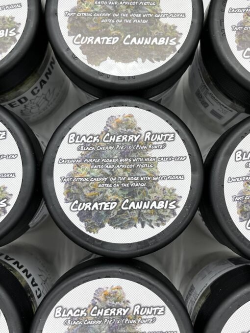 Curated Cannabis Gelato 33