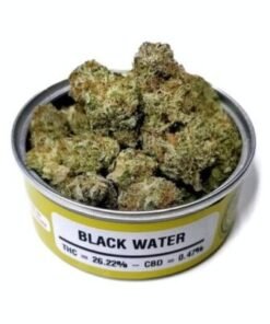 Black Water Strain