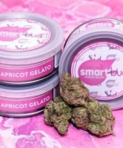 Apricot Gelato Smart Buds