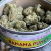 banana punch strain