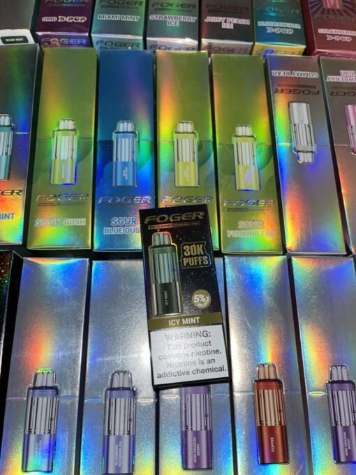 Foger Switch Pro 30K Puff Disposable