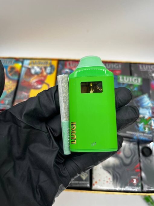 Luigi 2g Disposable